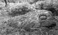 view M0016024: Prehistoric sculpted rock at Shegarton, Luss, Dunbartonshire: seen from south