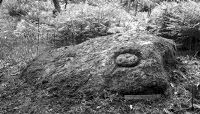 view M0016026: Prehistoric sculpted rock at Shegarton, Luss, Dunbartonshire: seen from north-east