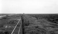 view M0015983: View of ploughed area, Pickering Moor, site of flint workshop, September 1956