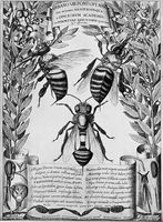view M0016937: Plate showing bees, from Federico Cesi's <i>Apiarium</i>, 1625