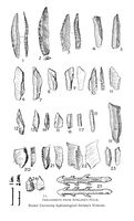 view M0016520: Illustration of a representative series of Upper Paleolithic artifacts from Aveline's Hole, Mendip
