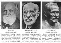 view M0016464: Portraits of Ivan Pavlov, Santiago Ramon y Cajal and Emil Kraepelin