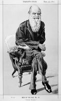 view M0017606: Cartoon of Charles Darwin (1809-1882)