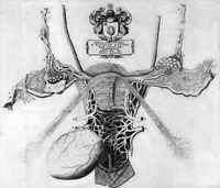 view M0017364: Swammerdam: <i>Miraculum naturae</i>, 1679: plate