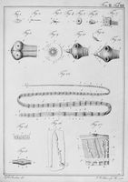 view M0017239: Joerdens: <i>Entomologie und Helminthologie</i>, 1801-2: volume II, plate III