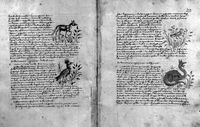 view M0017125: Italian bestiary, 15th century: folios 18v and 20r