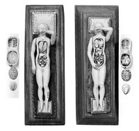view M0018656EB: Anatomical figures in ivory; two pregnant females