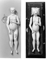 view M0018646EA: Anatomical figures in ivory; two females