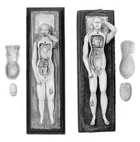 view M0018658EB: Anatomical figures in ivory; two females
