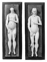 view M0018649EA: Anatomical figures in ivory; one female and one male