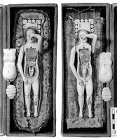 view M0018650EC: Anatomical figures in ivory; one female and one male