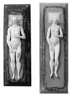 view M0018648EB: Anatomical figures in ivory; one female and one male