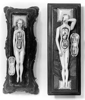 view M0018655EB: Anatomical figures in ivory; two females