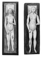 view M0018658EA: Anatomical figures in ivory; two females