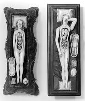 view M0018655EC: Anatomical figures in ivory; two females